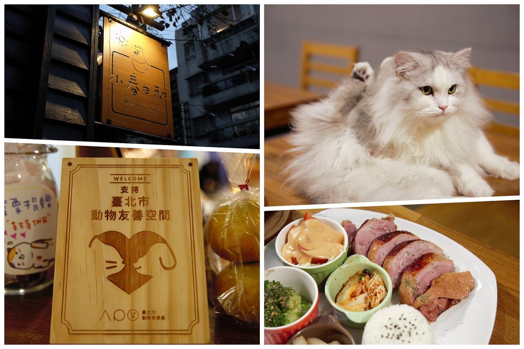 【台北x民生社區】食物環境都棒棒 小春日和動物雜貨 ･ 珈琲 寵物友善餐廳